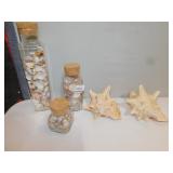 2 LARGE CONCH SHELLS AND 3 JARS OF SHELLS