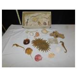 BOX OF SHELLS, DRIED SEAHORSE, HORSESHOE CRABS,