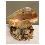 SHELL WITH CRUCIFIX DECORATIVE LIGHT