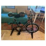 SCHWINN EXERCISE BIKE