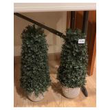 GARDEN POTS W/ TOPIARY