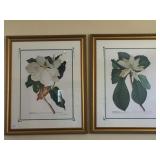 FRAMED MAGNOLIA PRINTS 33" X 27.5"