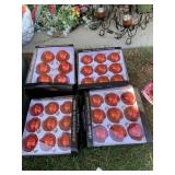 FA LA FABULOUS RED ORNAMENTS & 22 RED ORNAMENTS