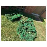 PINECONE AND BERRY CHRISTMAS GARLAND