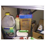 CARPET CLEANER, CLOROX, SCRUB BRUSHES, ETC.