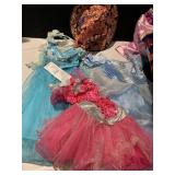 PRINCESS COSTUME DISNEY, ETC.