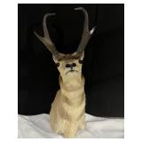 PRONGHORN 10IN HORNS 39IN OVERALL