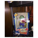 M&M WILD THING TOLLER COASTER