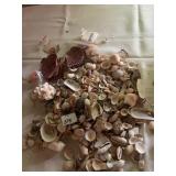 VARIETY OF SHELLS, GOLD COLOR BRACELET, STICK PIN