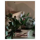 DOG AND CAT DANCING CLUB, SCARECROW ETC.