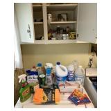 CLEANERS, INC. CLOROX, LYSOL, GLASS CLEANER,