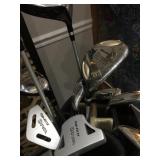 GOLF CLUBS DIVA COMPLETE SET W/ GOLF BAG LOOKS