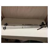 NORDIC WALKING POLES