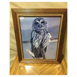 OWL PRINT 24.5 H X 20.5 W