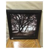 PRINT TREES STEVEN MITCHELL, 24.5 H X24.5 W