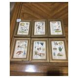 LEARNING PICTURES FOR THE WALL FOR CHILDREN IN 3