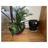 TWO PLANTERS W/ PLANT