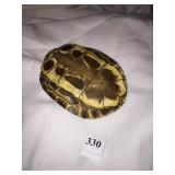 TURTLE SHELL 8" X 6"