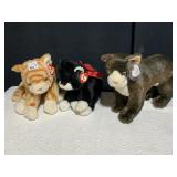 3 TY BEANIE BUDDIES CATS, ALL WITH TAGS
