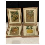 FOUR MATCHING FRAMED FRUIT HANDMADE LITHOGRAPHS,