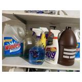 CAR CLEANING WASH AND WINDEX