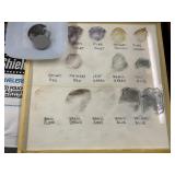 FILM BAG AND ODD FLESH PHOTO