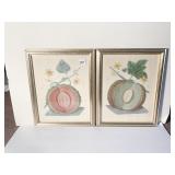 PAIR OF MATCHING FRUIT PICTURES, 15.5X12.5
