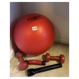 EXERCISE BALL