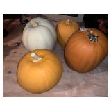 DECORATIVE PUMPKINS