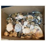CRYSTAL ROSE BOWL AND LARGE VARIETY SEASHELLS