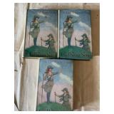 3 VOLUMES OF THE GIRL SCOUT SERIES