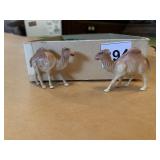 2" CELLULOID CAMELS, 2 TOTAL