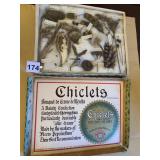 CHICKLET GUM BOX W/ DRIED SEED DISPLAY UNDER