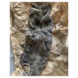 FUR HIDE IN NEWSPAPER PAGE FROM 1927