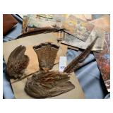 BIRD FEATHERS, YOUR CHILD GROWS UP BOOK, PARENTS