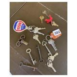 KEYS INCLUDING SKELETON