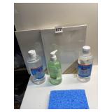 2 CANVASES AND HAND SANITIZER