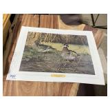 PRINT DUCKS WILLEM S DE BEER