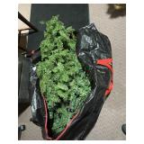 CHRISTMAS TREE IN A BAG