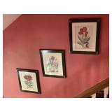 FRAMED TULIP #ED PRINTS PROFESSIONAL FRAMED