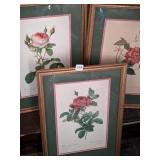 THREE FRAMED ROSE BOTANICAL PRINTS 15.5" X 21.5"
