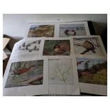 AMERICAN WILDLIFE INSTITUTE UNFRAMED PRINTS BIRDS