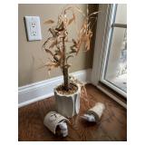 BAMBOO PLANT (2) NIGHT LIGHTS