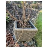 METAL PLANTERS WOVEN EXTERIOR 12" X 12"