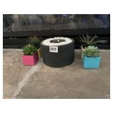 CACTUS MINI AND CANDLE