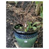 11"H X 12" D FROST RESISTANT