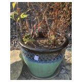 11" H X 12" D - FROST RESISTANT