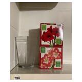 2 AMARYLLIS GROWING KITS AND GLASS VASE
