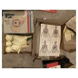 HUMAN EYE MODEL IN BOX