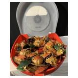 PROFESSIONAL WREATH IN HOLDER